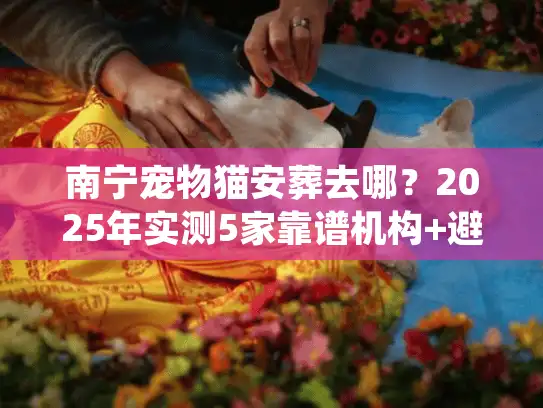 南宁宠物猫安葬去哪？2025年实测5家靠谱机构+避坑细节全公开
