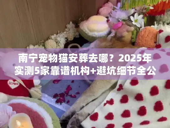 南宁宠物猫安葬去哪？2025年实测5家靠谱机构+避坑细节全公开