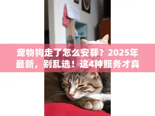 宠物狗走了怎么安葬？2025年最新，别乱选！这4种服务才真正能让毛孩子安心