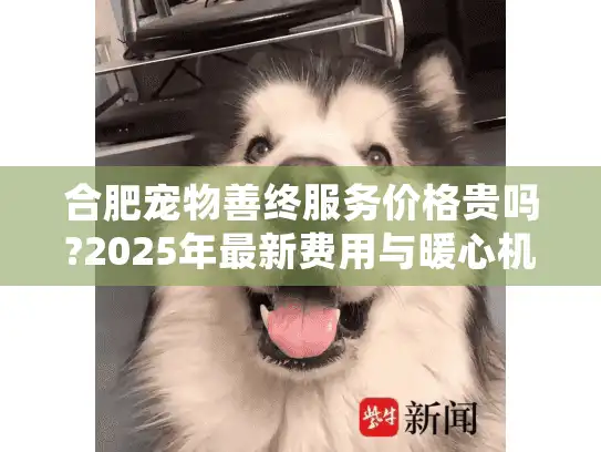 合肥宠物善终服务价格贵吗?2025年最新费用与暖心机构推荐