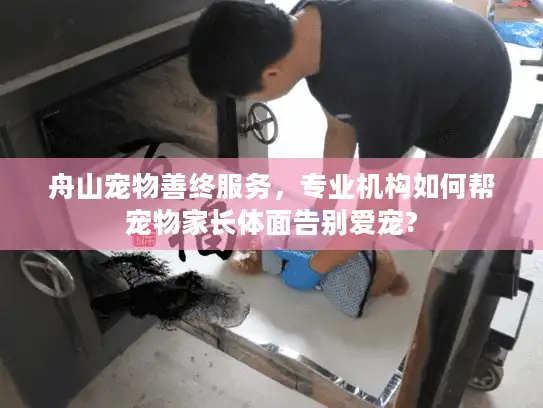 舟山宠物善终服务，专业机构如何帮宠物家长体面告别爱宠?