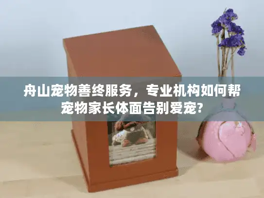 舟山宠物善终服务，专业机构如何帮宠物家长体面告别爱宠?