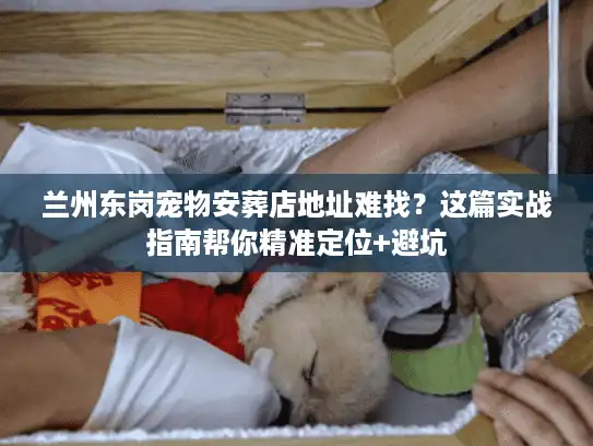 兰州东岗宠物安葬店地址难找？这篇实战指南帮你精准定位+避坑