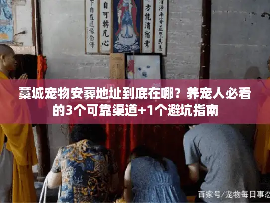 藁城宠物安葬地址到底在哪？养宠人必看的3个可靠渠道+1个避坑指南