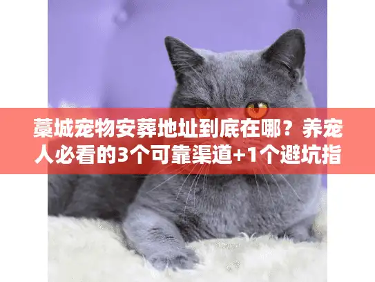 藁城宠物安葬地址到底在哪？养宠人必看的3个可靠渠道+1个避坑指南
