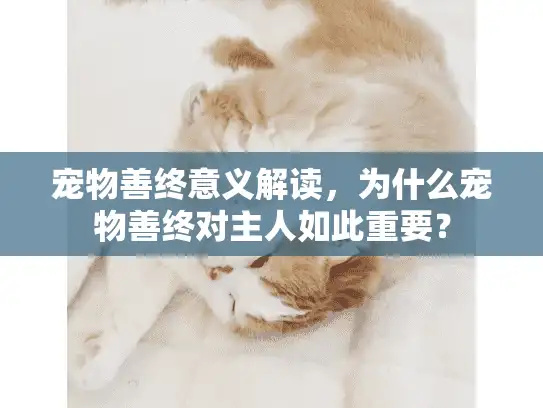 宠物善终意义解读，为什么宠物善终对主人如此重要？