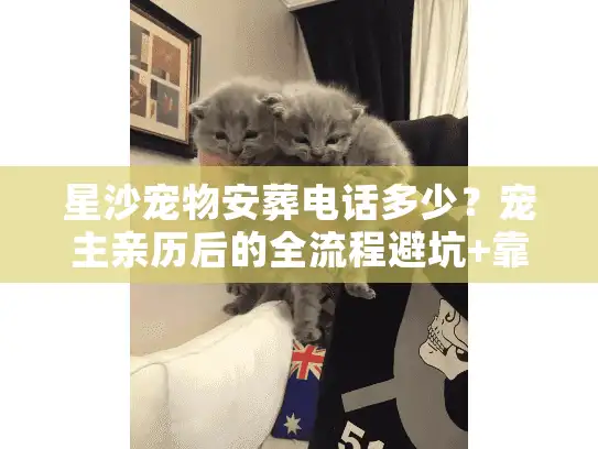 星沙宠物安葬电话多少？宠主亲历后的全流程避坑+靠谱机构清单