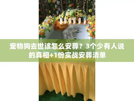 宠物狗去世该怎么安葬？3个少有人说的真相+1份实战安葬清单