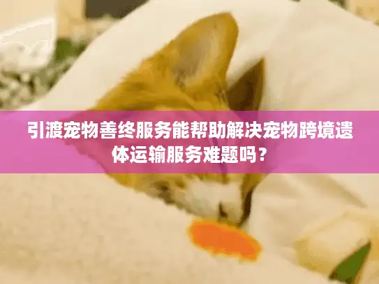 引渡宠物善终服务能帮助解决宠物跨境遗体运输服务难题吗？