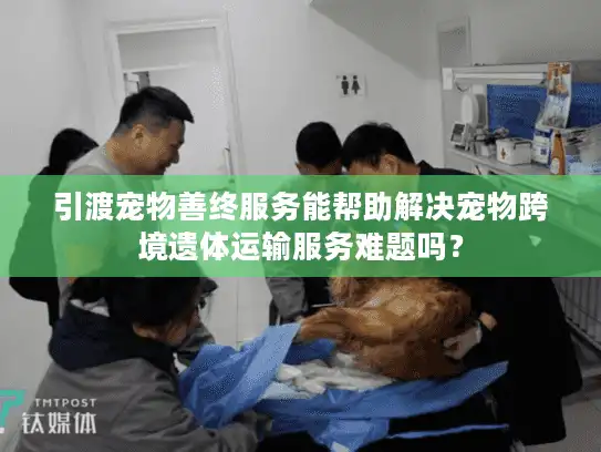 引渡宠物善终服务能帮助解决宠物跨境遗体运输服务难题吗？