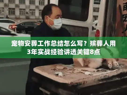 宠物安葬工作总结怎么写？殡葬人用3年实战经验讲透关键8点