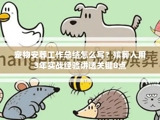 宠物安葬工作总结怎么写？殡葬人用3年实战经验讲透关键8点