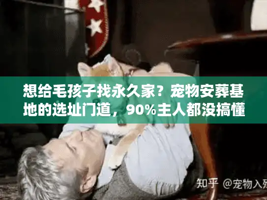 想给毛孩子找永久家？宠物安葬基地的选址门道，90%主人都没搞懂