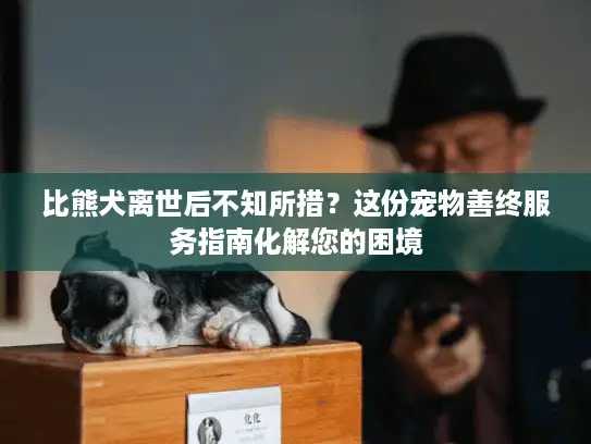 比熊犬离世后不知所措？这份宠物善终服务指南化解您的困境