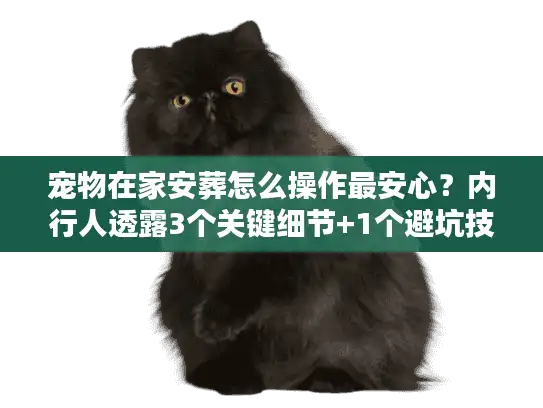 宠物在家安葬怎么操作最安心？内行人透露3个关键细节+1个避坑技巧