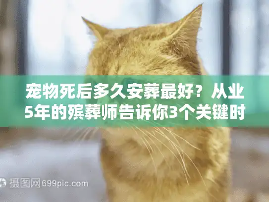 宠物死后多久安葬最好？从业5年的殡葬师告诉你3个关键时间节点