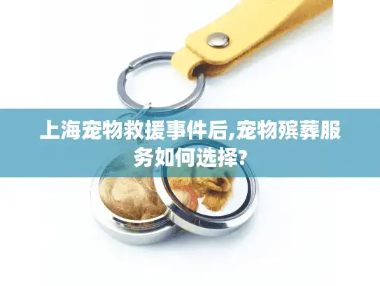 上海宠物救援事件后,宠物殡葬服务如何选择?