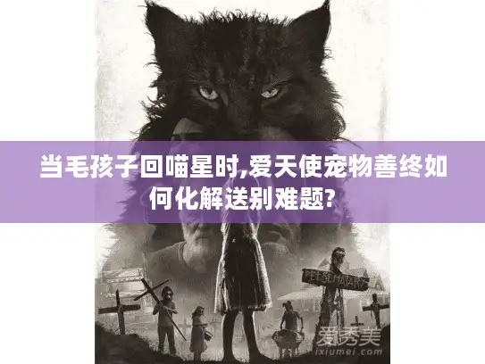 当毛孩子回喵星时,爱天使宠物善终如何化解送别难题?