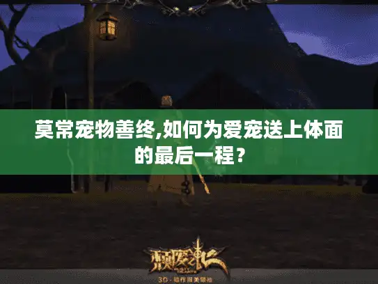 莫常宠物善终,如何为爱宠送上体面的最后一程？