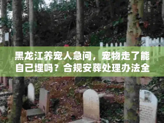 黑龙江养宠人急问，宠物走了能自己埋吗？合规安葬处理办法全梳理