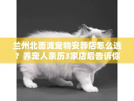 兰州北面滩宠物安葬店怎么选？养宠人亲历3家店后告诉你答案