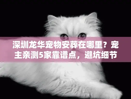 深圳龙华宠物安葬在哪里？宠主亲测5家靠谱点，避坑细节全说透