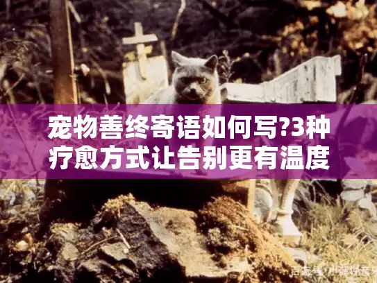 宠物善终寄语如何写?3种疗愈方式让告别更有温度