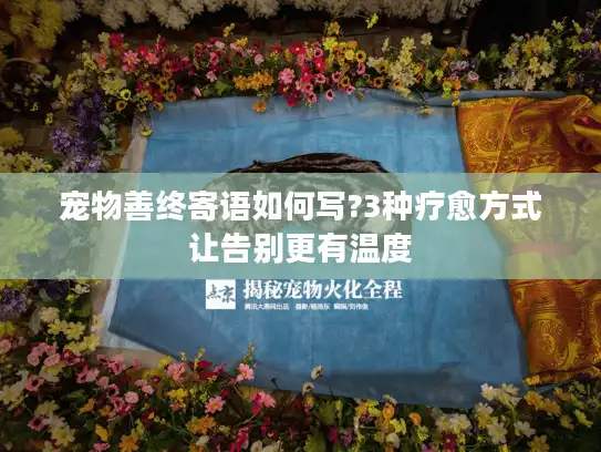 宠物善终寄语如何写?3种疗愈方式让告别更有温度