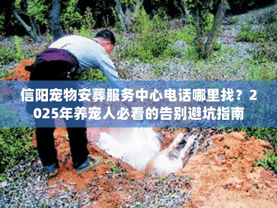 信阳宠物安葬服务中心电话哪里找？2025年养宠人必看的告别避坑指南