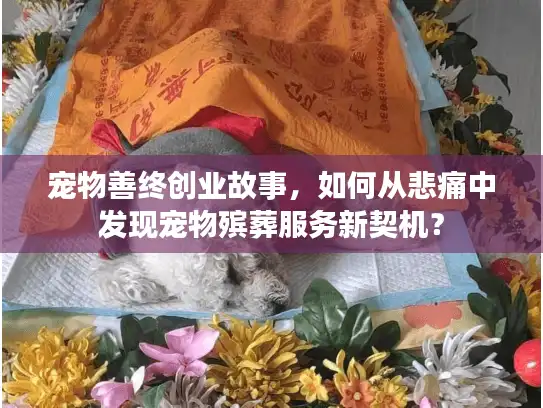 宠物善终创业故事，如何从悲痛中发现宠物殡葬服务新契机？