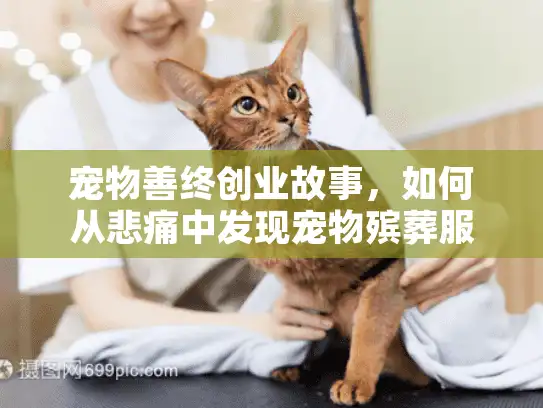宠物善终创业故事，如何从悲痛中发现宠物殡葬服务新契机？