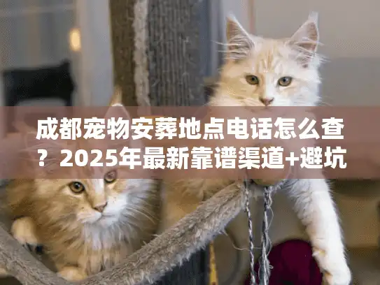 成都宠物安葬地点电话怎么查？2025年最新靠谱渠道+避坑指南