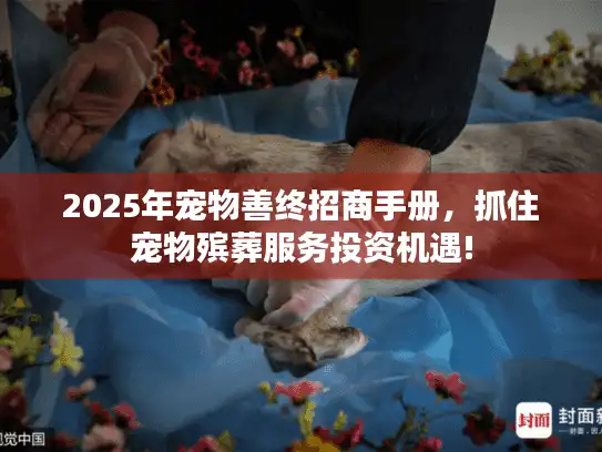 2025年宠物善终招商手册，抓住宠物殡葬服务投资机遇!