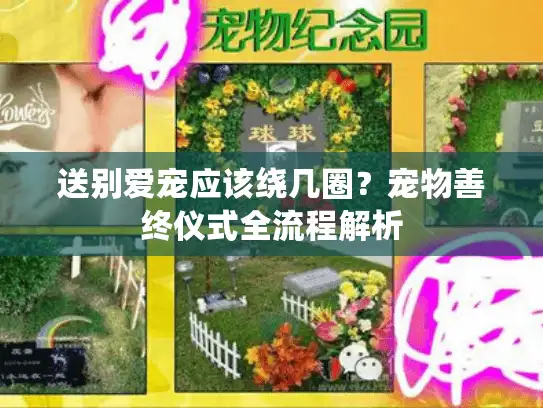 送别爱宠应该绕几圈？宠物善终仪式全流程解析