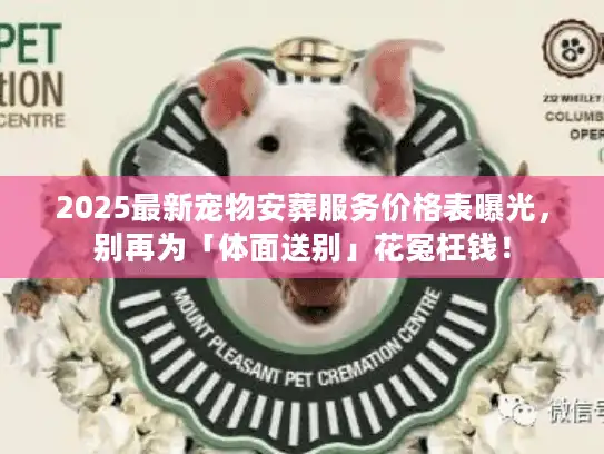 2025最新宠物安葬服务价格表曝光，别再为「体面送别」花冤枉钱！