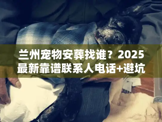 兰州宠物安葬找谁？2025最新靠谱联系人电话+避坑细节，养宠人别等失去才看