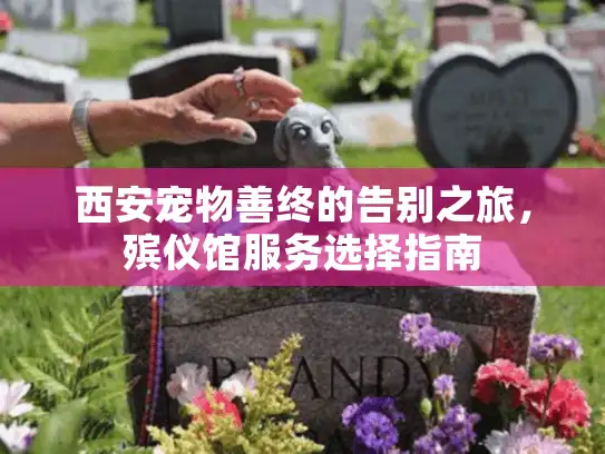 西安宠物善终的告别之旅，殡仪馆服务选择指南