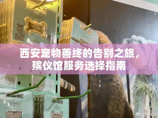 西安宠物善终的告别之旅，殡仪馆服务选择指南