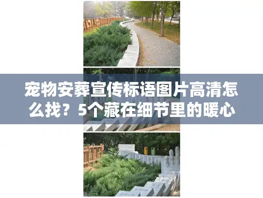 宠物安葬宣传标语图片高清怎么找？5个藏在细节里的暖心真相帮你选对服务