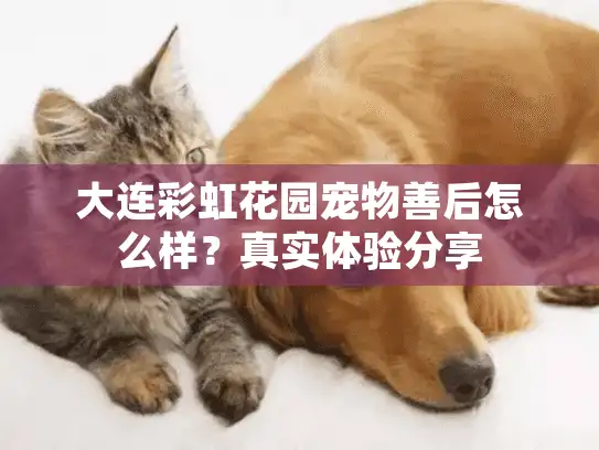 大连彩虹花园宠物善后怎么样？真实体验分享