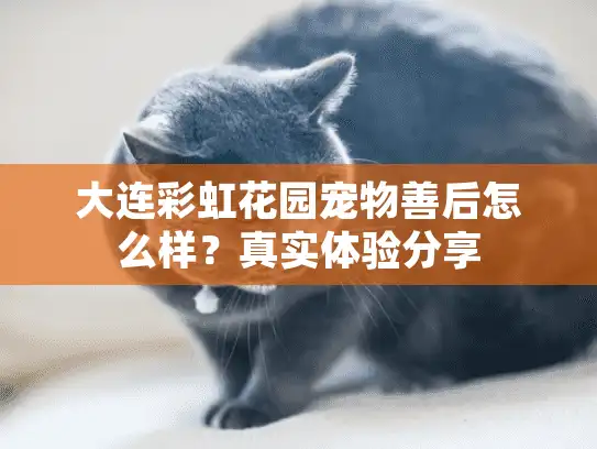 大连彩虹花园宠物善后怎么样？真实体验分享