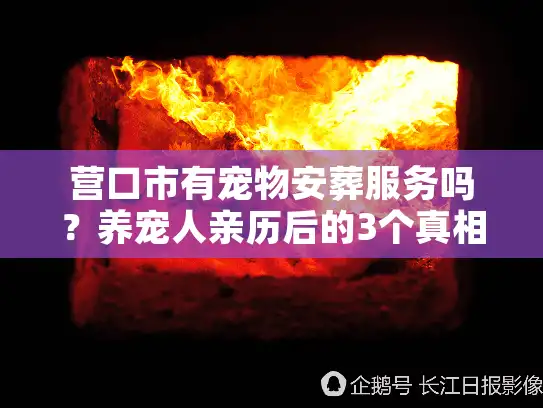 营口市有宠物安葬服务吗？养宠人亲历后的3个真相与避坑指南