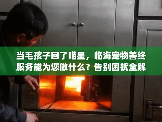 当毛孩子回了喵星，临海宠物善终服务能为您做什么？告别困扰全解答