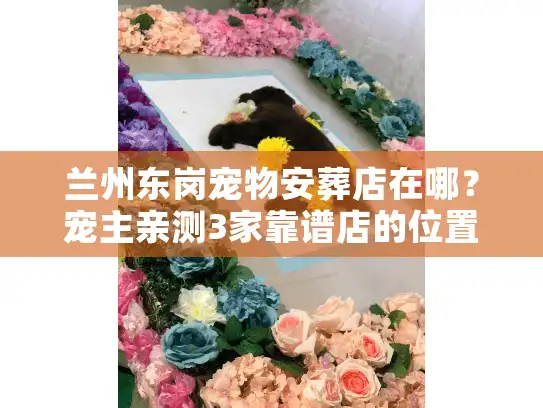 兰州东岗宠物安葬店在哪？宠主亲测3家靠谱店的位置+服务真相