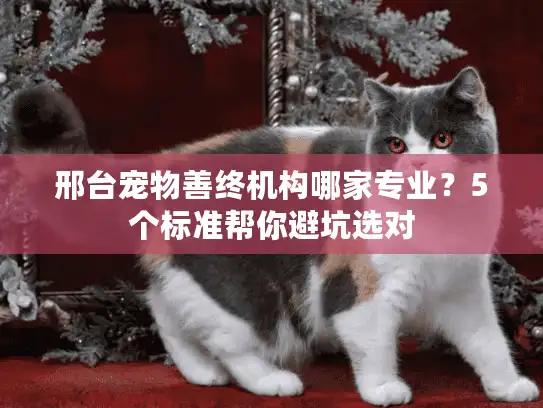 邢台宠物善终机构哪家专业？5个标准帮你避坑选对