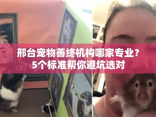 邢台宠物善终机构哪家专业？5个标准帮你避坑选对