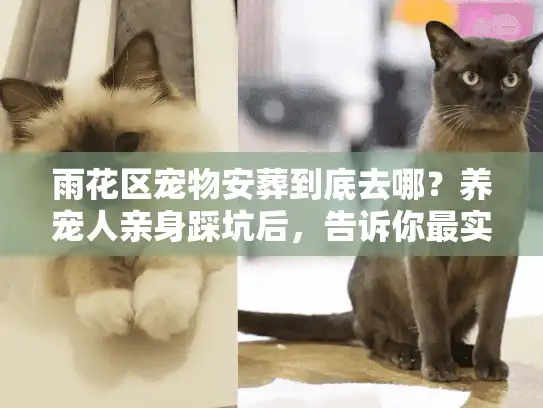 雨花区宠物安葬到底去哪？养宠人亲身踩坑后，告诉你最实在的答案