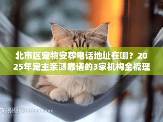 北市区宠物安葬电话地址在哪？2025年宠主亲测靠谱的3家机构全梳理