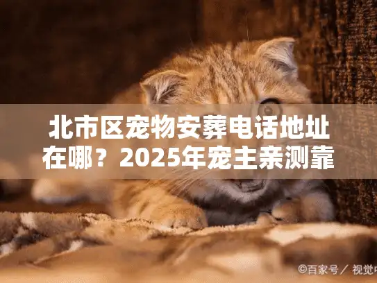 北市区宠物安葬电话地址在哪？2025年宠主亲测靠谱的3家机构全梳理