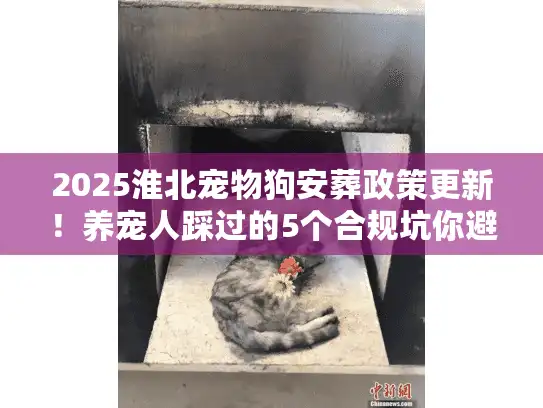 2025淮北宠物狗安葬政策更新！养宠人踩过的5个合规坑你避开了吗？